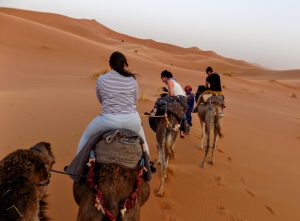 A trip from Fes to Marrakesh via the Sahara desert by Walkabout Wanderer Keywords: Adventure travel, Sahara desert Travel blogger, travelling Group tours Morocco