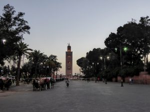 How to Survive Marrakesh