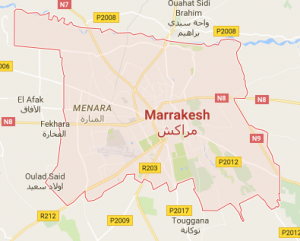 How to Survive Marrakesh