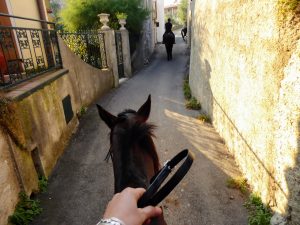 horse riding in lake garda