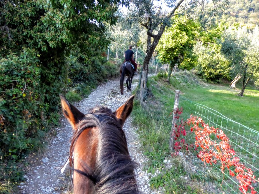 Horsing Riding in Lake Garda