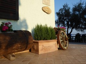 horse riding in lake garda