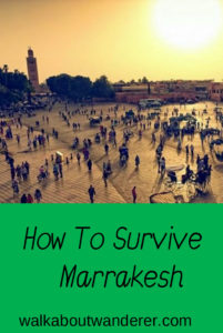 My top tips on how to survive Marrakesh. Written by Walkabout Wanderer. Keywords: hints, tips safety Marrakesh, Morocco, Africa