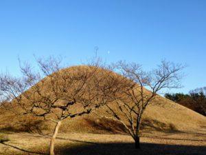 South Korean Travel