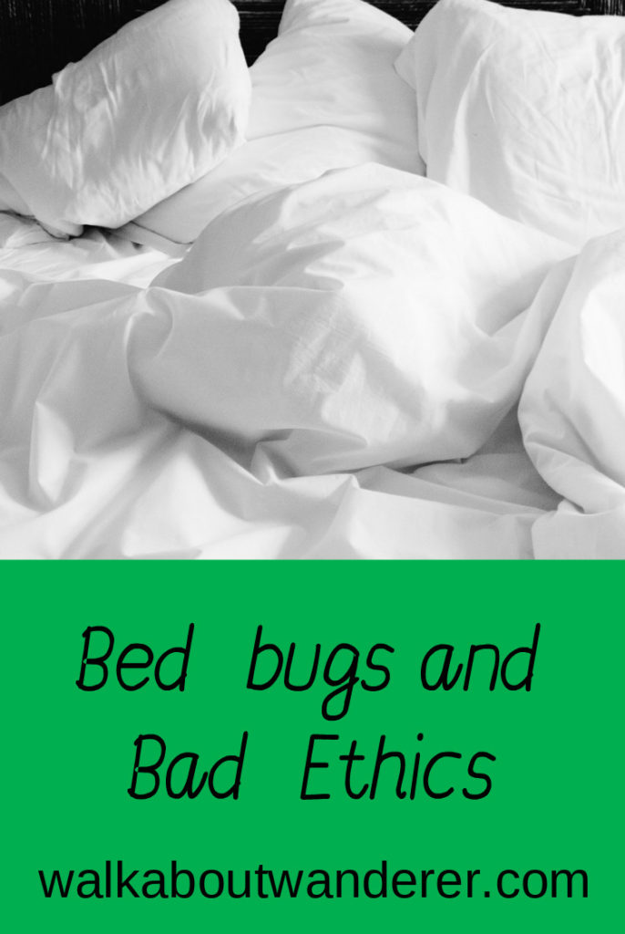 Bed Bugs and Bad Ethics by Walkabout Wanderer