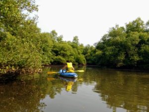 kayaking tour in Goa