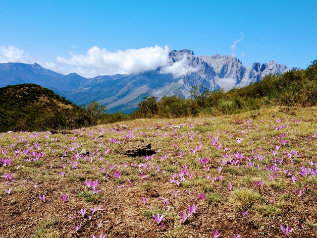 Driving routes Picos de Europa campervan motorhome Spain national park