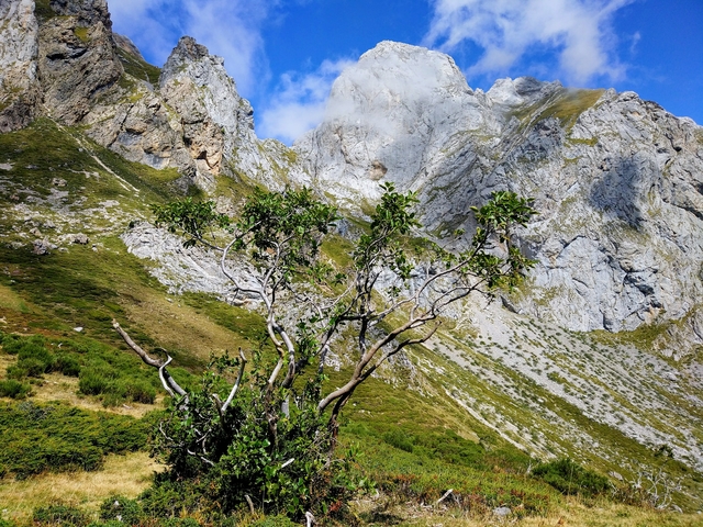 Prada Picos de Europa hiking walking PR-PNPE15 Spain national park