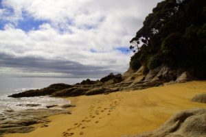 Abel Tasman free things to do New Zealand's South Island tourist guide