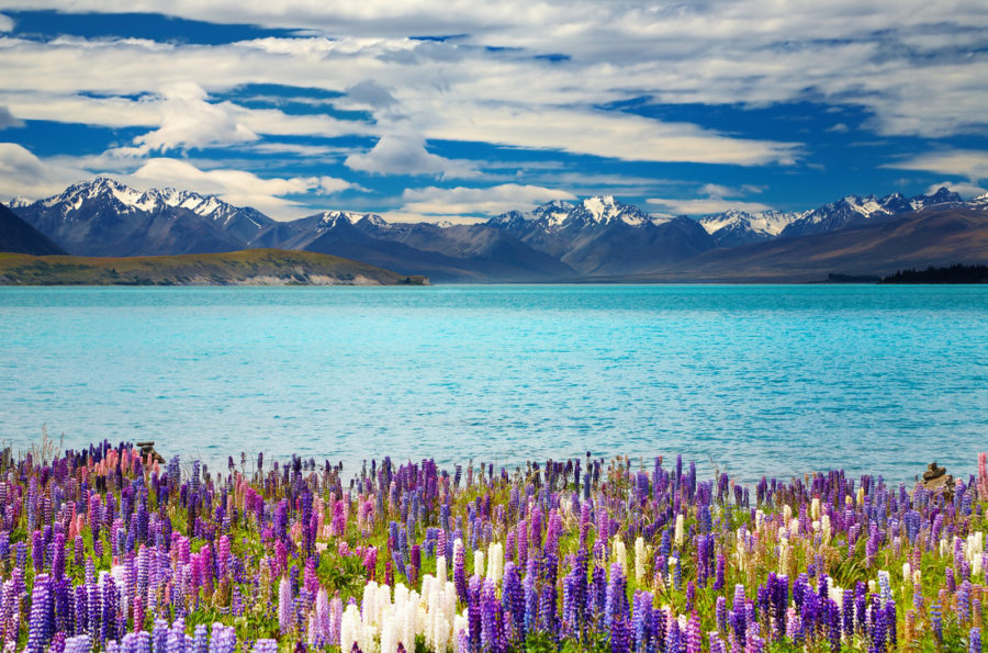 free things to do New Zealand's South Island tourist guide