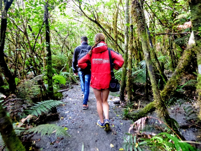 Best Franz Josef glacier tour New Zealand