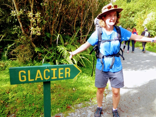 franz josef glacier tour