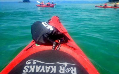 R&R Kayaks: Exploring the open sea in a Kayak Abel Tasman