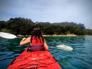 Kayak Abel Tasman kayak tour R&R Kayaks New Zealand